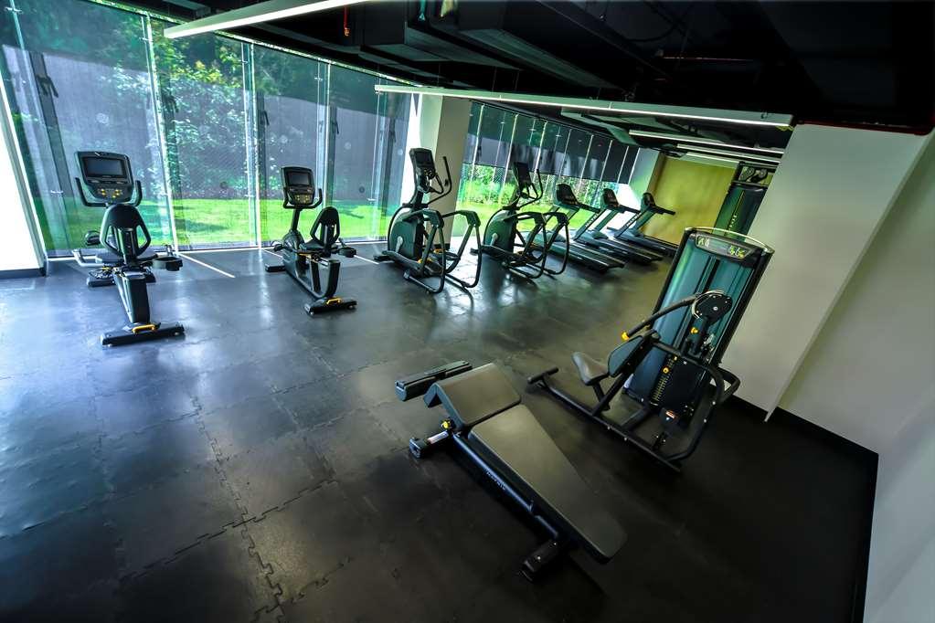 Galeria Plaza San Jeronimo Hotel Kota Meksiko Fasilitas foto The gym at the hotel