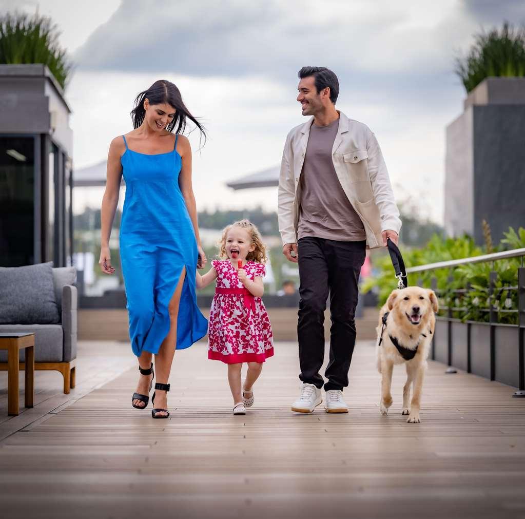 Galeria Plaza San Jeronimo Hotel Kota Meksiko Fasilitas foto A family with a dog