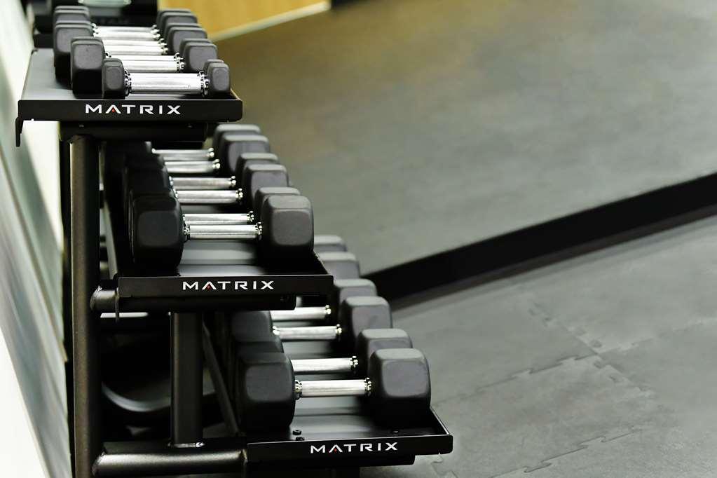 Galeria Plaza San Jeronimo Hotel Kota Meksiko Fasilitas foto Dumbbells