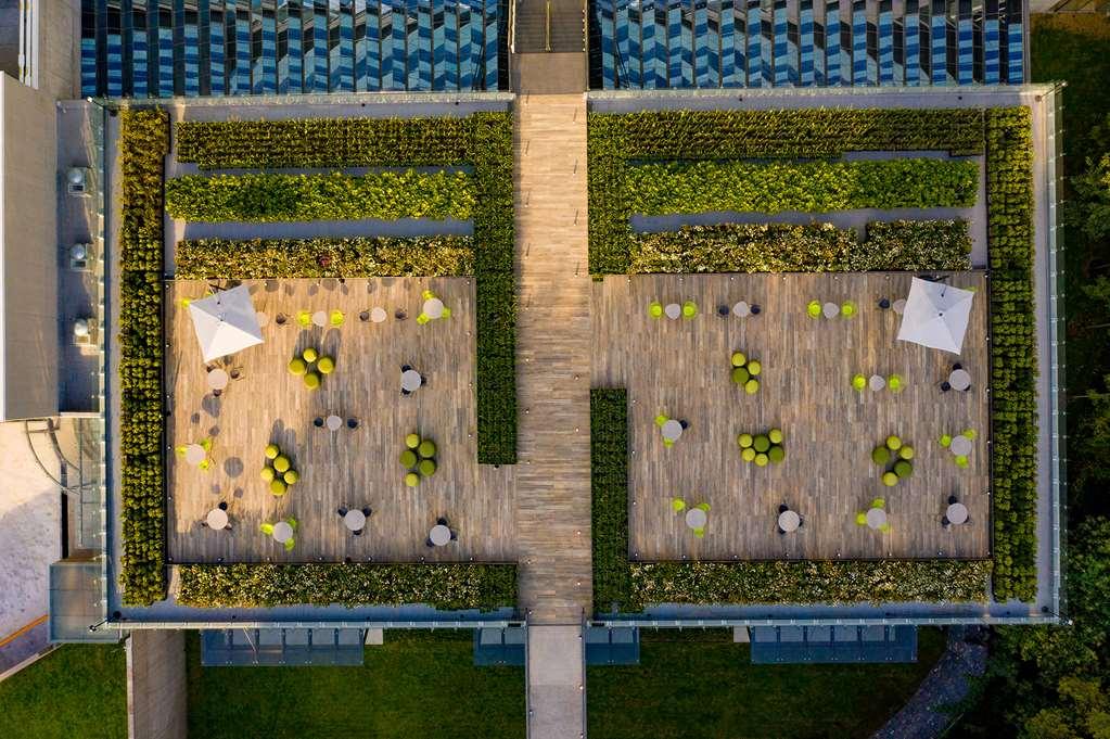 Galeria Plaza San Jeronimo Hotel Kota Meksiko Bagian luar foto The green wall at the Allianz Arena