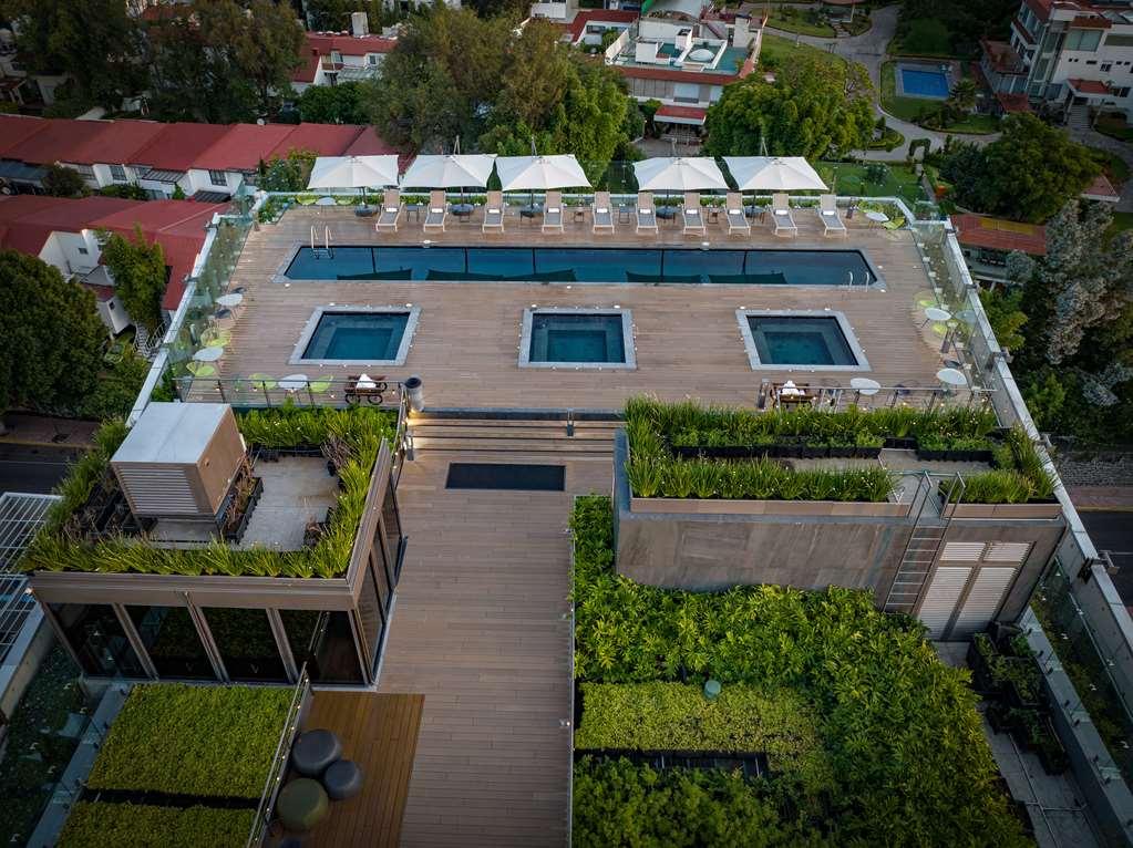 Galeria Plaza San Jeronimo Hotel Kota Meksiko Fasilitas foto The rooftop pool at the hotel